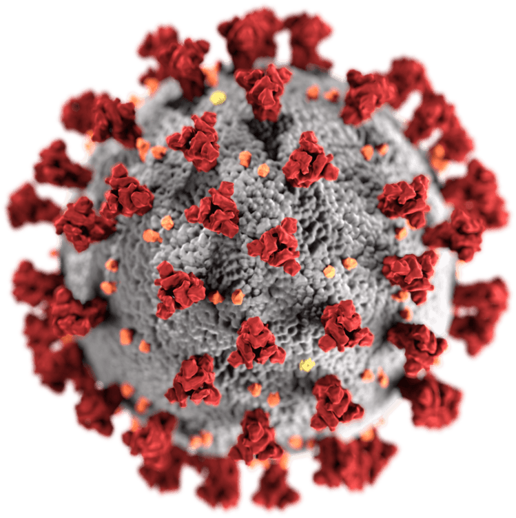 sars-cov-2 virus structure -- fancy comma blog