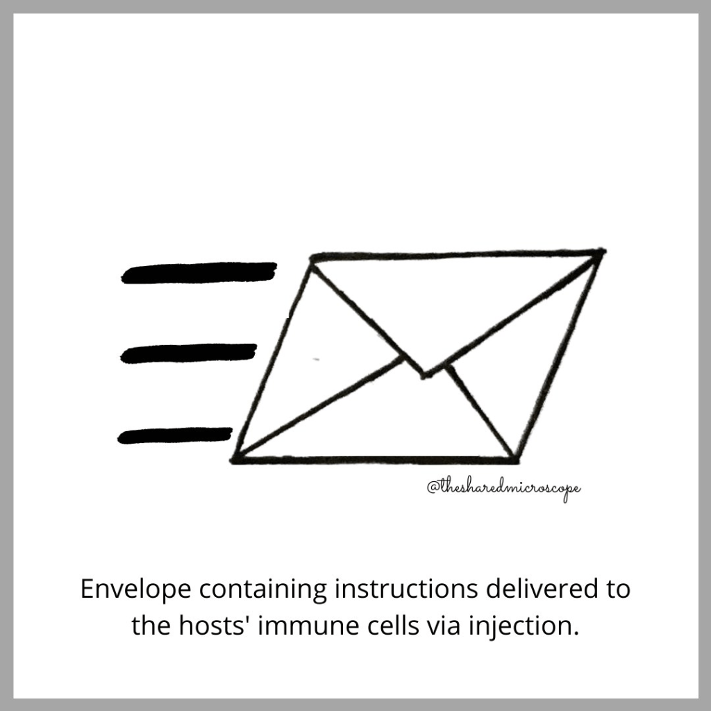 moderna vaccine for covid-19 - fancy comma blog