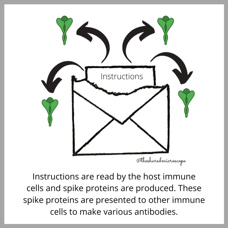 ilustración de la vacuna Moderna