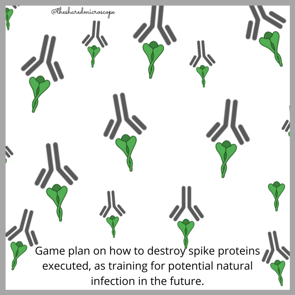 moderna vaccine for covid-19 - fancy comma blog