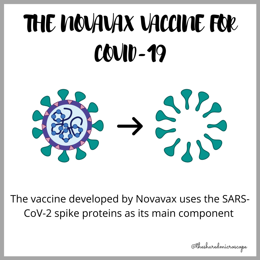 how novavax works