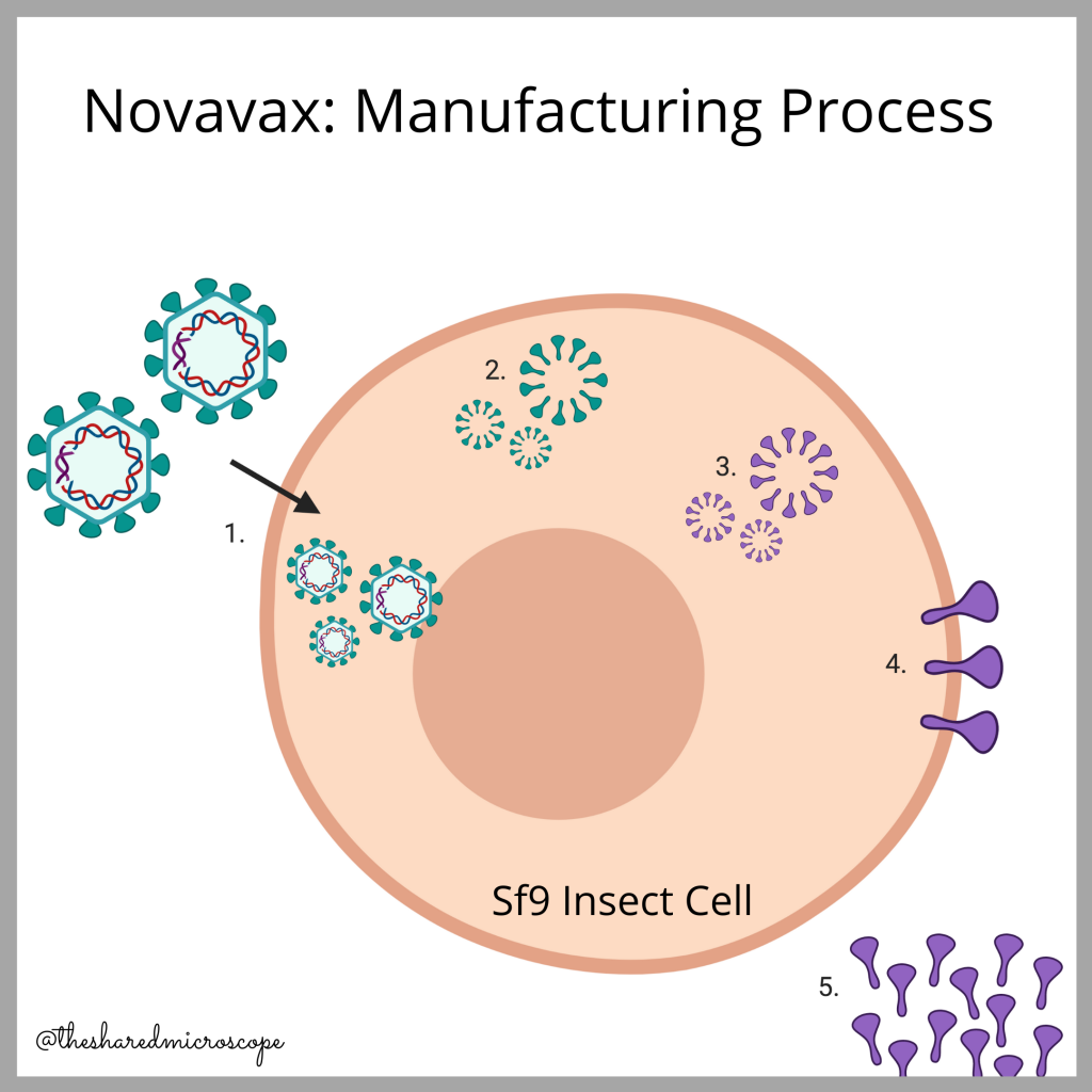 novavax manufacturing process