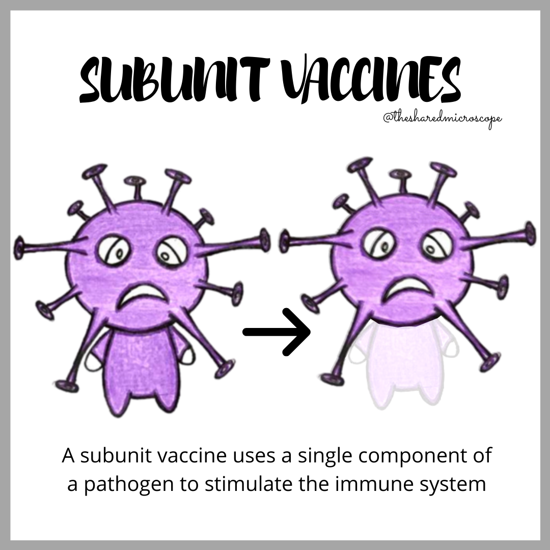 subunit vaccines