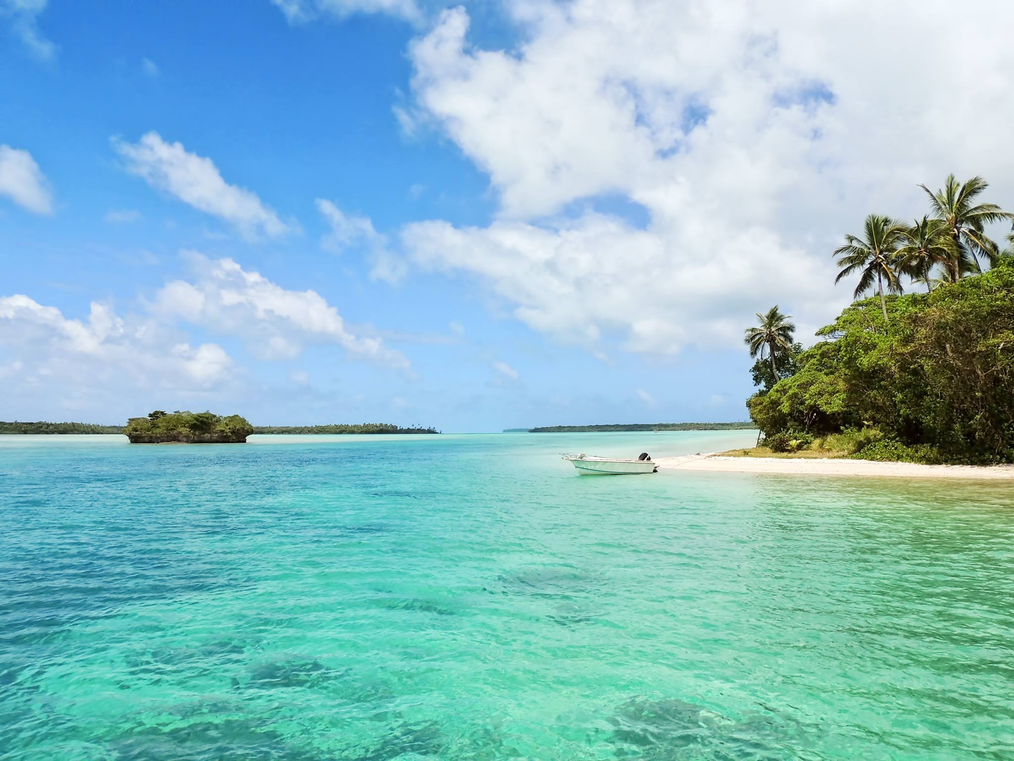 photo of beach with boat and palm trees