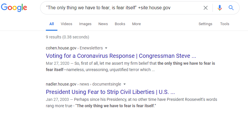 screenshot of searching google with a specific phrase  found only on one web domain