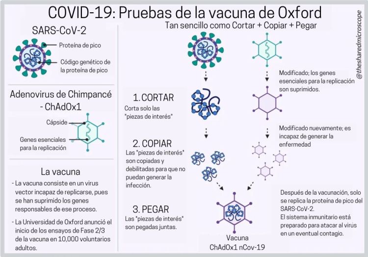 ilustración de la vacuna oxford/astrazeneca que utiliza un enfoque de "cortar, copiar, pegar"
