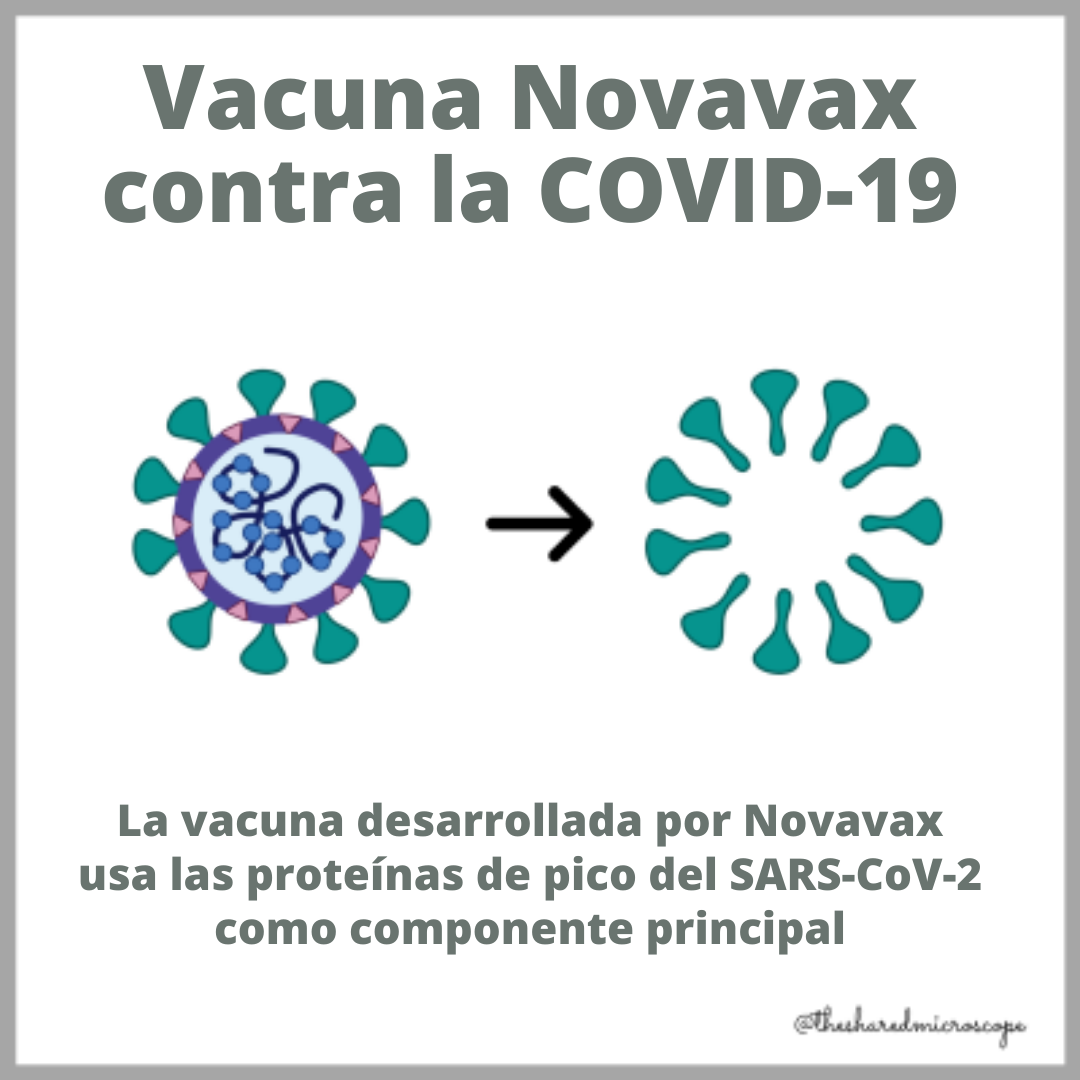 ilustración de el componente principal de la vacuna Novavax: la proteína de pico