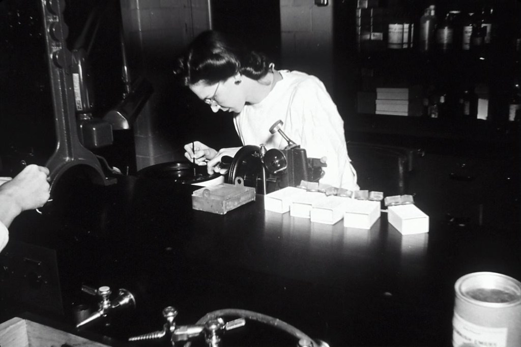 photo of a woman scientist working at a lab bench