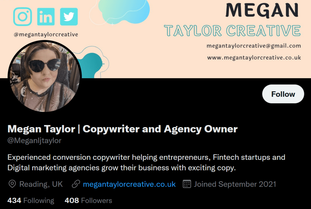 screenshot of Megan Taylor's Twitter bio