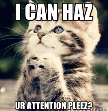 photo of a kitten with text caption "i can haz ur attention pleez?"