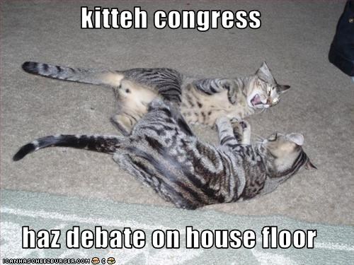 kitteh congress meme