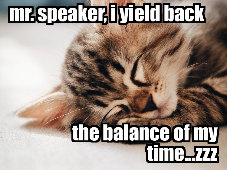 photo of a sleeping cat with the caption, "mr. speaker, i yield back the balance of my time...zzz"
