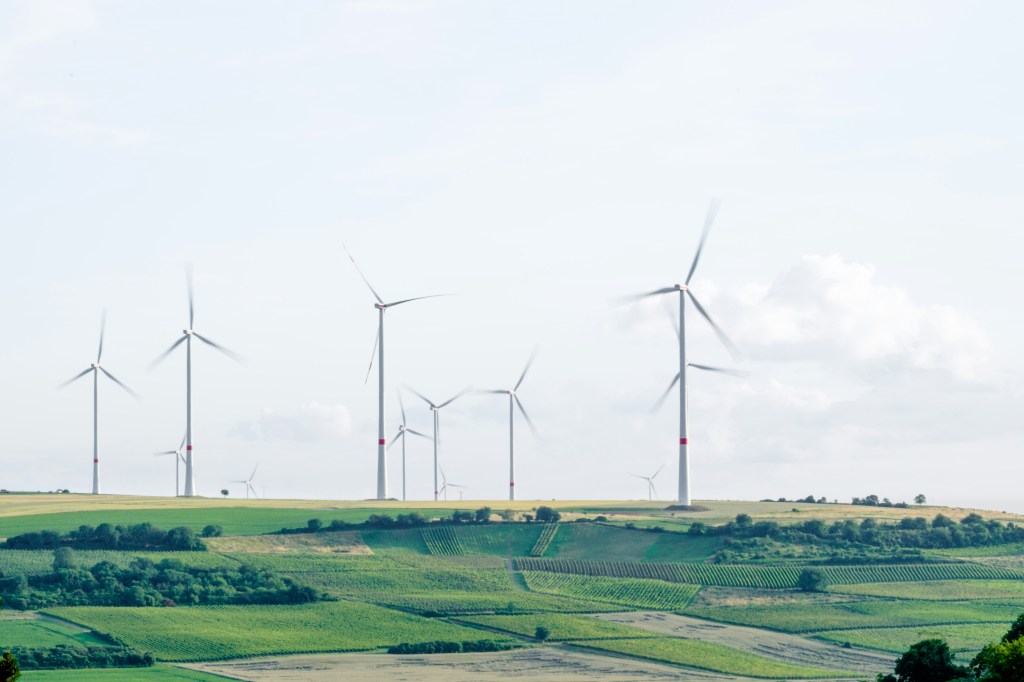photo of windmills
